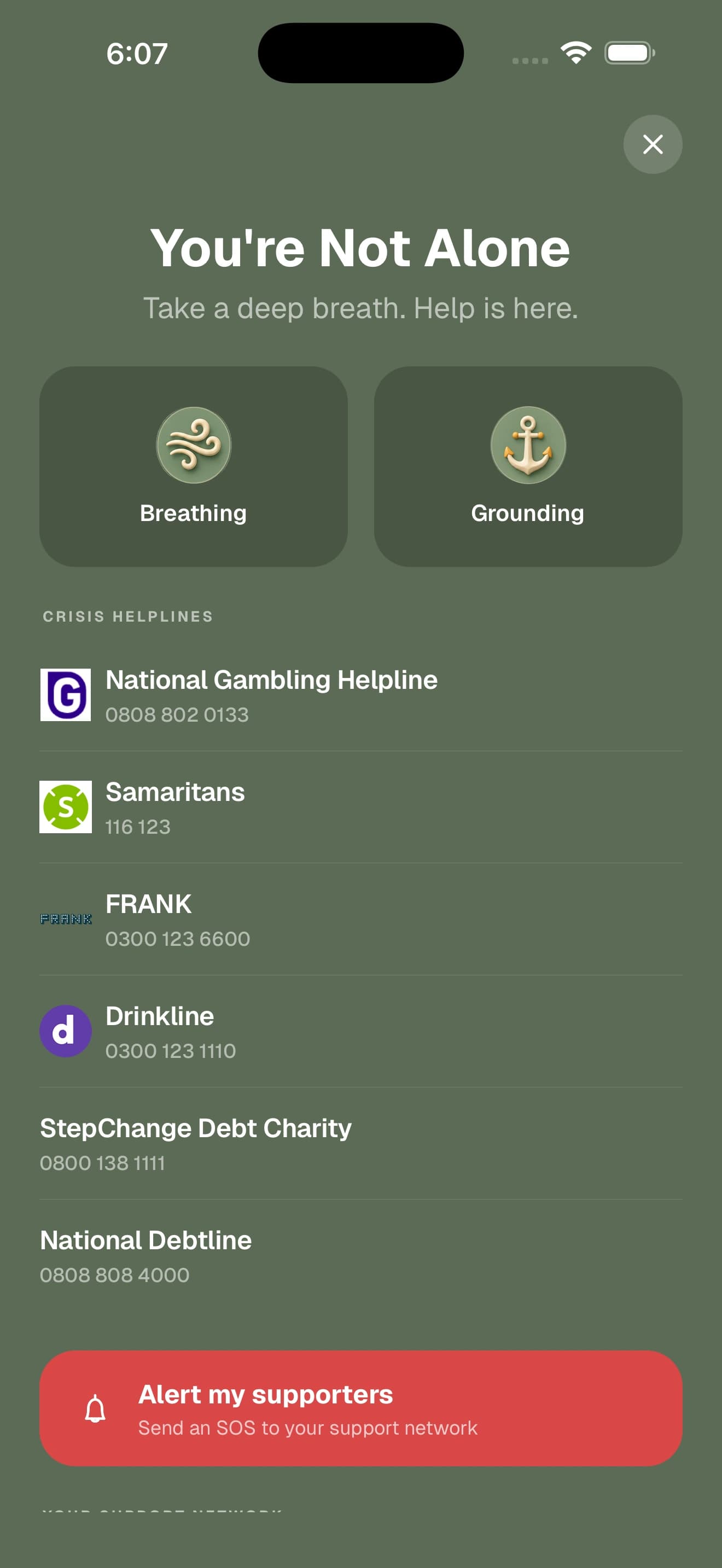Crisis support screen